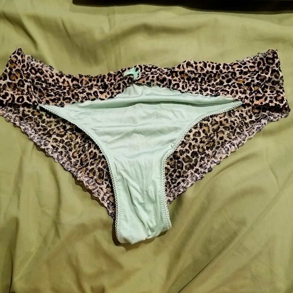 VS Lace and Silk Panties